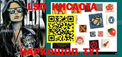 стаф Сланцы