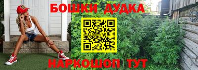 стаф Сланцы