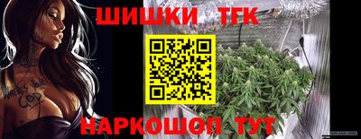 стаф Сланцы