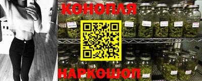 стаф Сланцы