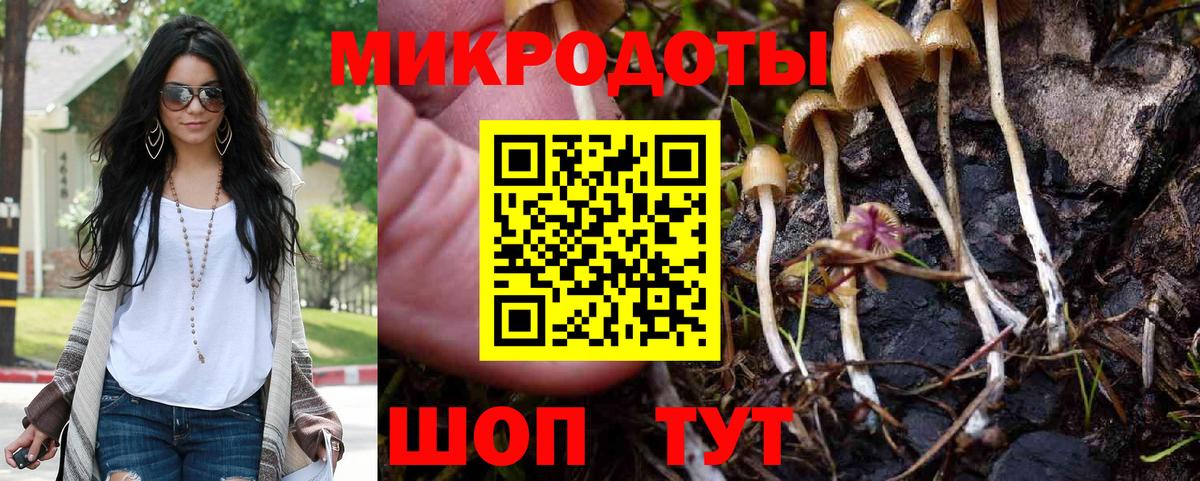 Светлоград  Псилоцибиновые грибы прущие грибы  Вход с VPN 